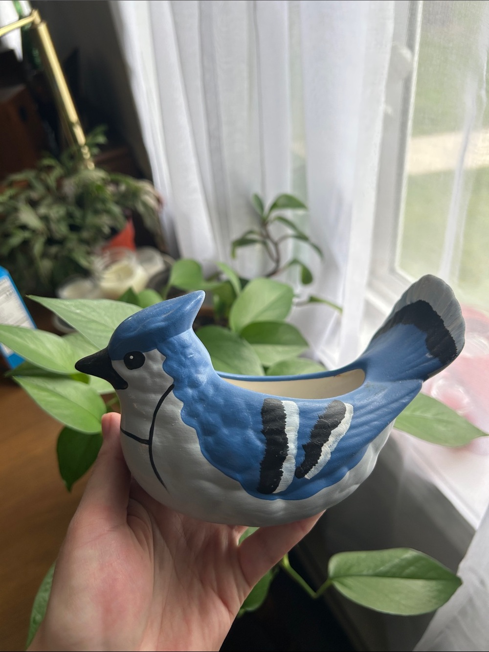 Blue Jay Ceramic Mini Planter